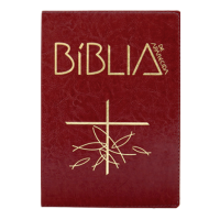Bíblia de Aparecida - Letra Grande Marrom
